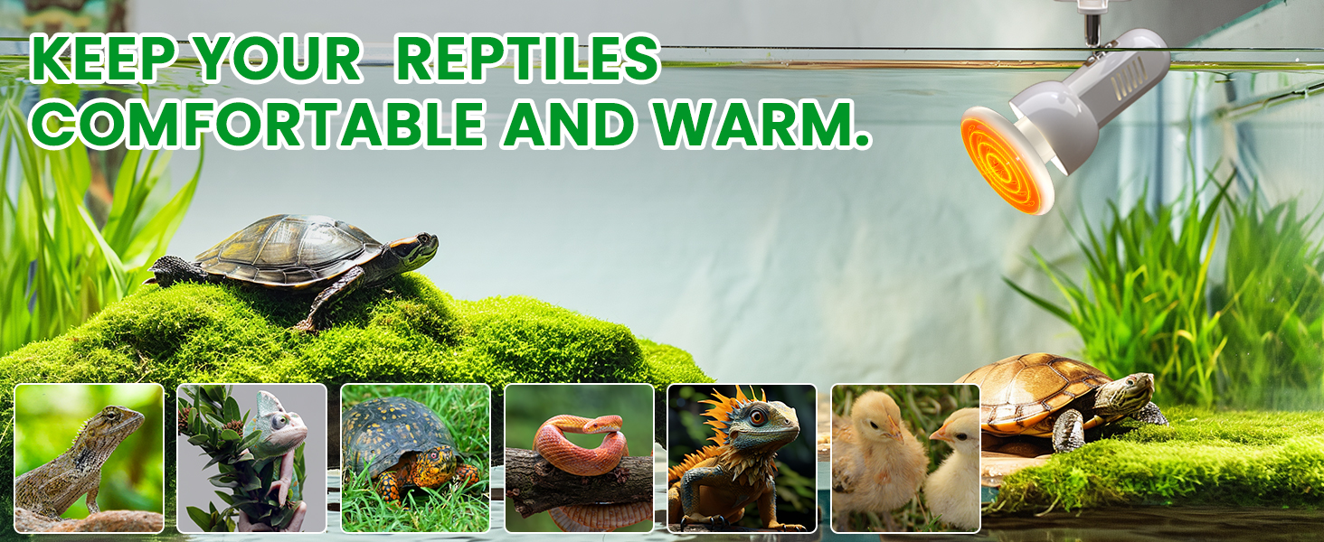 heat bulb for reptiles