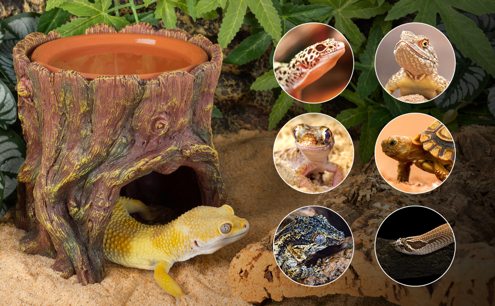 moisture keeping reptile cave