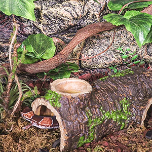 reptile cave reptile hides and caves  reptile log reptile hides