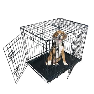 dog, cage, crate, dog bed, puppy, training, ellie-bo, ellie bo