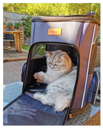 cat backpack