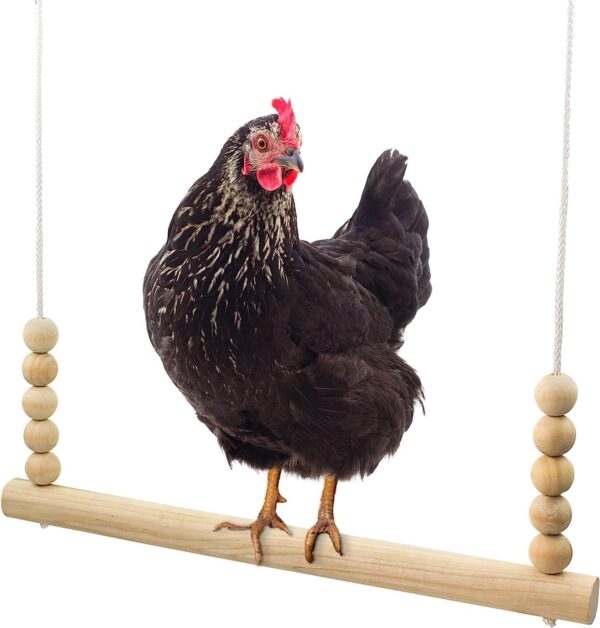 Backyard Barnyard Chicken Swing Toy for Coop (Round Bar) Handmade in USA! Natural Safe Large Wood Perch Ladder for Poultry Run Rooster Hens Chicks Pet Parrots Pollo Stress Relief for Birds