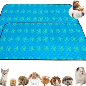 CHEGRON Guinea Pig Bedding 2PCS Waterproof Fleece Mats Premium C&C Cage Blanket for Ultimate Comfort and Hygiene - Fit for Small Animal Rabbit Hamster Ferret Kitrty Puppy Cage, 24x47 inch