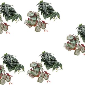 DOITOOL 10 Pcs Climbing Pet Box Landscaping Decor Plant Animal Ornament Fish Tank Accessories Pet Tank Accessory Reptile Hide Pant Reptile Hermit Fish Hermit Horned Frog Lizard Plastic