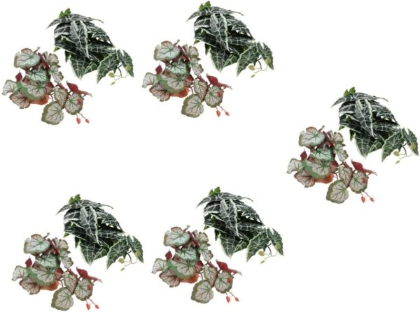 DOITOOL 10 Pcs Climbing Pet Box Landscaping Decor Plant Animal Ornament Fish Tank Accessories Pet Tank Accessory Reptile Hide Pant Reptile Hermit Fish Hermit Horned Frog Lizard Plastic