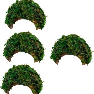 INOOMP 4pcs Box Reptile Hideout House Bearded Dragon Hideout Reptisoil Turtle Basking Platform Reptile Hides and Caves Reptile Terrariums Hamster Pet Crawling Platform Coconut Shell Green