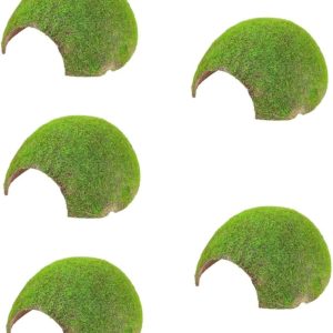 Milisten 5pcs Reptile Hideout House Reptile Moss Hide Decorative Reptile Hideout Reptile Cave Reptile Basking Platform Vivid Reptile Hideout Hamster Moss Cave Reptile Supplies Coconut Shell