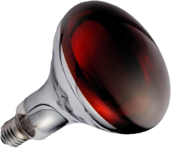 Orvarto Infrared Heat Lamp Bulb, Ruby 250w. for Infra Red Heat Lamps for Poultry, Chicks, Dogs, Puppies, Cats, Kittens, Pigs, Reptiles and Other Animals.