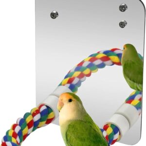 YYwenting Bird Mirror Toy With Rope Perch Cockatiel Mirror for Cage Bird Toys Swing Parrot Cage Toys Parrot Bite Toy with Rope for Parakeet Cockatoo Cockatiel