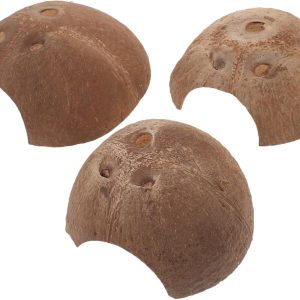 Yardwe 12 Pcs Reptiles Hide from Caves Reptile Hides and Caves Small Reptile Cave Gecko Hideout Cave Wear-resistant Reptile Cave Terrarium Supply Hides for Reptiles Coconut Shell