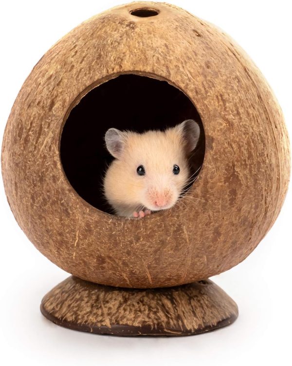 andwe Coconut Hut Hamster House Bed for Gerbils Mice Small Animal Cage Habitat Decor